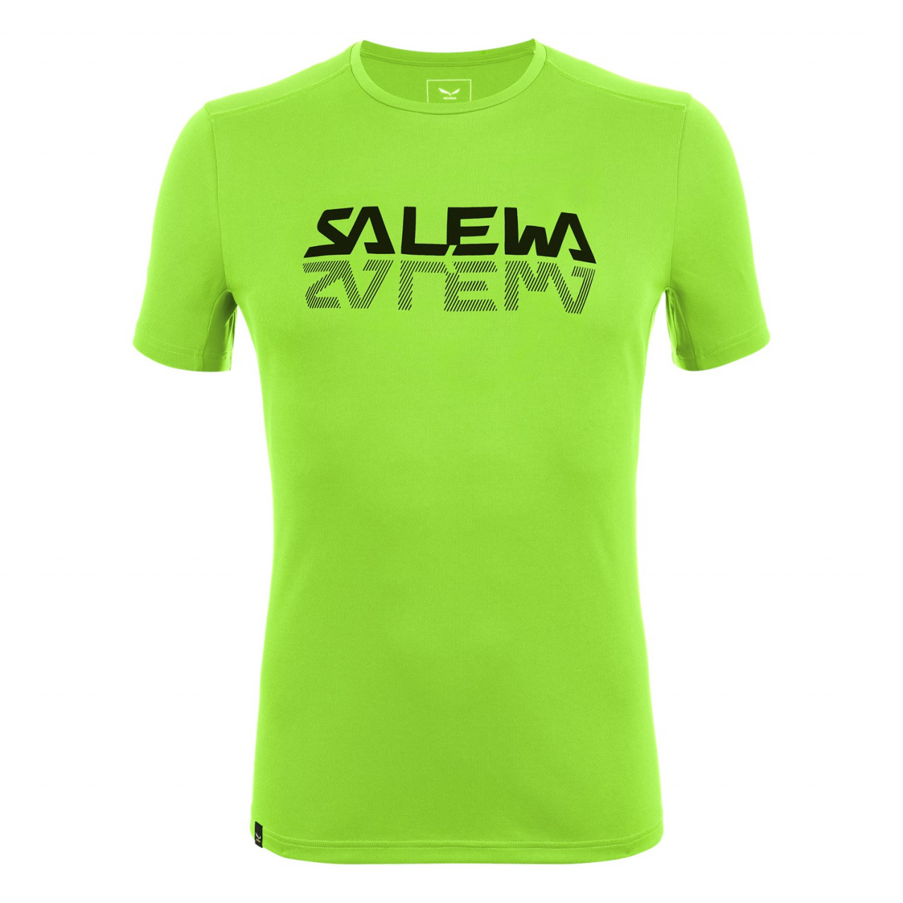 Salewa Sporty Graphic Dry Erkek T-Shirts Yeşil Türkiye 486079BFG